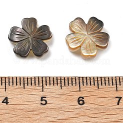 Резные бусины из натуральной черной ракушки SSHEL-Z002-02B