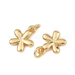 Colgantes de latón Shegrace&nbsp;XGRQ3P140-578G