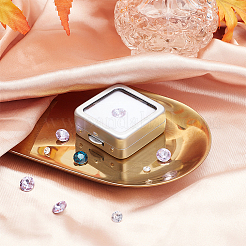 Cajas de exhibición de piedras preciosas de diamantes sueltos de hierro&nbsp;CON-WH0088-19A-02