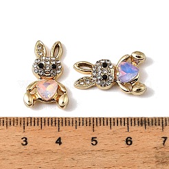 Legierung rhinestone-anhänger&nbsp;FIND-K032-04G