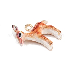 Эмалевые подвески из животного сплава&nbsp;LS-ENAM-P264-03A-G