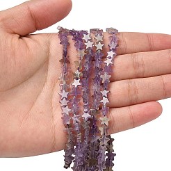 Природный аметист нитей бисера&nbsp;G-F817-A15-01