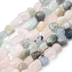 Природные морганит нитей бисера G-B161-B07