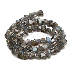 Природные лабрадорита бисер нитей G-A279-A01-01