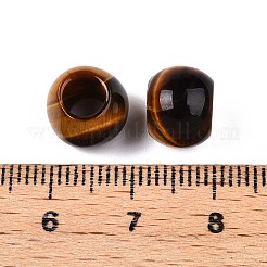 Природных тигровый глаз бисером G-T092-10mm-01