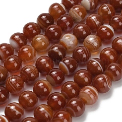 Натуральные полосатые агатовые бусы&nbsp;G-L642-B04-8mm