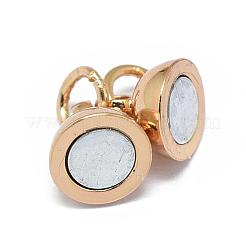 Fermagli magnetici in ottone placcato cremagliera con passanti&nbsp;KK-F801-03A-LG