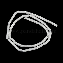 Бусины из натурального белого нефрита&nbsp;G-P600-B07-01C