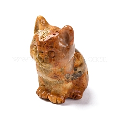 Натуральный сумасшедший агат&nbsp;DJEW-P019-D02