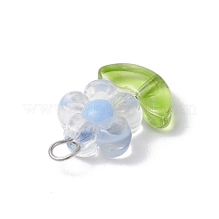 Прозрачные акриловые подвески&nbsp;PALLOY-JF03713-01