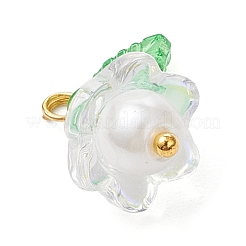 Стеклянные подвески&nbsp;PALLOY-MZ00837-04