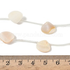 Нити бусин из натуральных пресноводных ракушек SHEL-K006-52B