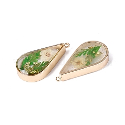 Colgantes de resina epoxi&nbsp;KK-Q082-02KCG-05