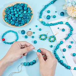 1005 шт. 5 стиля крашеных бусин из натурального дерева WOOD-PH0003-42B