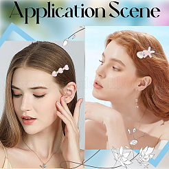 2 сумка 2 стиля заколки для волос из смолы и сплава в виде аллигатора&nbsp;AJEW-CY0001-39A