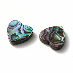 Perles coquille d'ormeau / coquille de paua&nbsp;LS-SHEL-T005-01