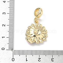 Латунные эмалированные европейские подвески с подвесками KK-P330-03G