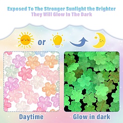 50 шт. светящиеся прозрачные акриловые бусины&nbsp;LACR-YW0001-08