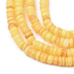 Chapelets de perles de coquille d'eau douce naturelle teinte&nbsp;SH-CBA2978-05B