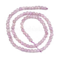 Naturperlen Stränge kunzite&nbsp;G-P587-C01-01A