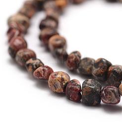 Натуральные леопардовые шкурки из яшмы G-F465-31