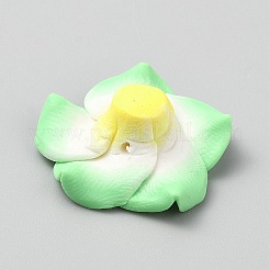 Бусины из полимерной глины  CLAY-WH20006-01C-01