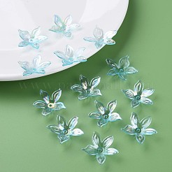 Прозрачные акриловые бусины&nbsp;MACR-S373-102-C05