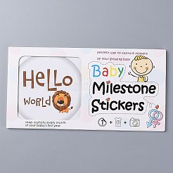 Новорожденные ежемесячные вехи наклейки DIY-H127-B07