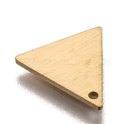Pendentifs en acier inoxydable 304 avec placage ionique (IP)&nbsp;STAS-O133-04B-G