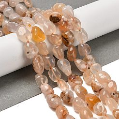 Натуральные вишневые агатовые бусины&nbsp;G-P497-01E-68