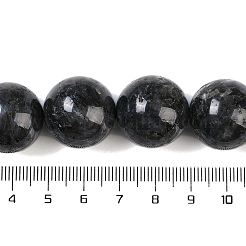 Натуральные нити бус из ларвикита G-G118-B02-01