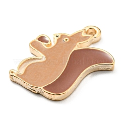 Подвески из сплава с эмалью ко дню благодарения&nbsp;LS-ENAM-D060-03G-KCG