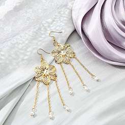 Железа филигранной столяры IFIN-PH0024-67