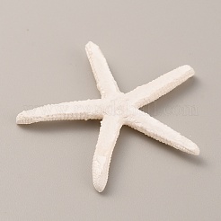 Кабошоны из непрозрачной смолы на тему океана&nbsp;RESI-WH0026-58B-01