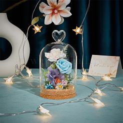 Стеклянный купол&nbsp;AJEW-WH0604-68D