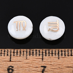 5шт натуральные пресноводные бусины из ракушек&nbsp;BSHE-TAC0004-01H