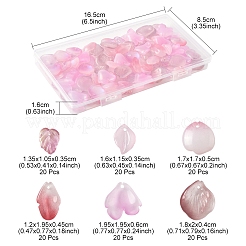 120 шт. 6 стиля осенняя тематика двухцветные прозрачные стеклянные подвески&nbsp;GLAA-FS0002-23