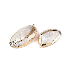 Природные пауа оболочки подвески&nbsp;SSHEL-N038-18B