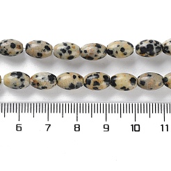 Dalmata naturale perline di diaspro fili&nbsp;G-I369-B03-01