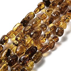 Янтарные шарики нити G-L095-G01-01