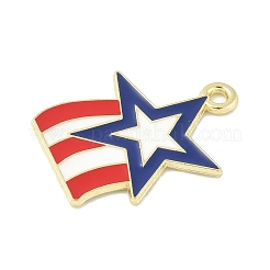 Эмалевые подвески из сплава в честь Дня независимости&nbsp;FIND-M083-05H-G