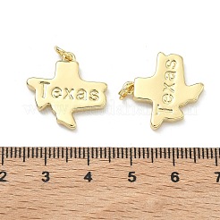 Messing Anhänger & Charms&nbsp;X-KK-D229-22G-G