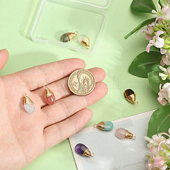 8 шт. 8 стиля подвески-слезинки из натурального смешанного камня PALLOY-CA00031