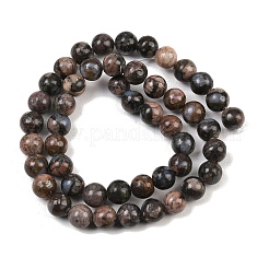 Бусины из натурального глаукофана&nbsp;X-G-R485-12-8mm