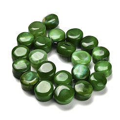 Окрашенные естественный агат бисер пряди G-G203-05