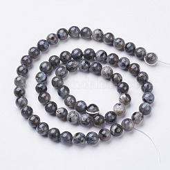 Brins de perles de larvikite naturelles&nbsp;X-GSR6mmC128