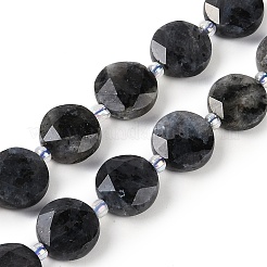 Натуральные нити бус из ларвикита G-C116-A45-01