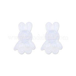 Прозрачные акриловые бусины X-OACR-N008-172F