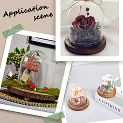 Стеклянный купол&nbsp;AJEW-SC0001-61C