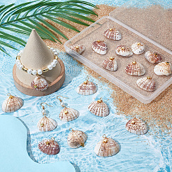 20 шт. подвески из натуральной медной проволоки в виде ракушки FIND-SC0014-24